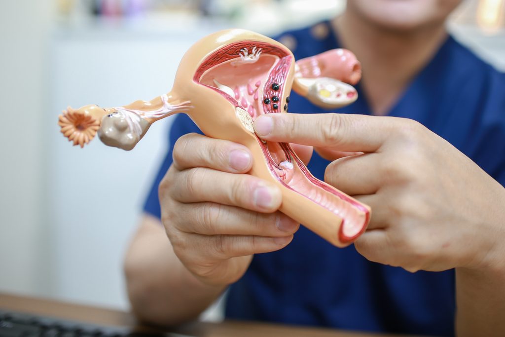 Dr. Mo Hyung-jin explaining the uterus, fallopian tubes and ovaries on an anatomical model